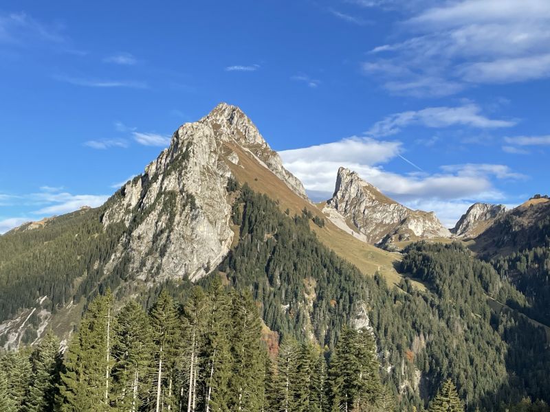 foto 23 Mietobjekt von Privatpersonen Bernex appartement Rhne-Alpes Haute-Savoie