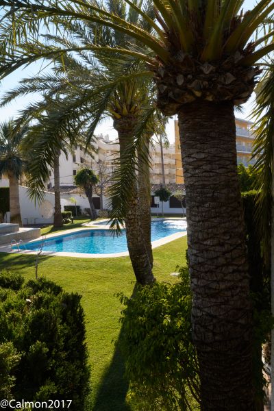 foto 7 Mietobjekt von Privatpersonen Dnia bungalow Region Valencia Provinz Alicante Garten