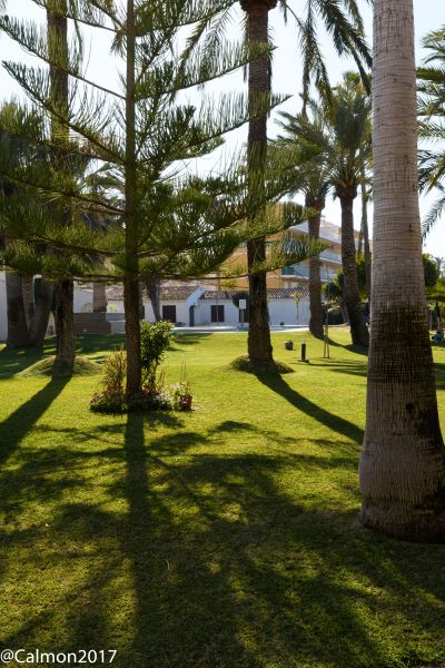 foto 4 Mietobjekt von Privatpersonen Dnia bungalow Region Valencia Provinz Alicante Garten