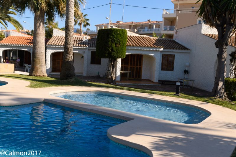foto 3 Mietobjekt von Privatpersonen Dnia bungalow Region Valencia Provinz Alicante Schwimmbad