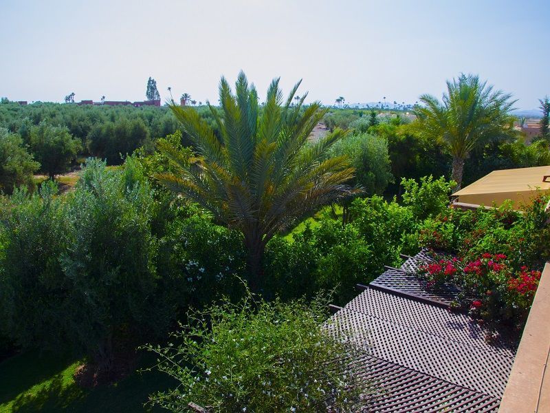 foto 13 Mietobjekt von Privatpersonen Marrakesch villa   Ausblick von der Terrasse