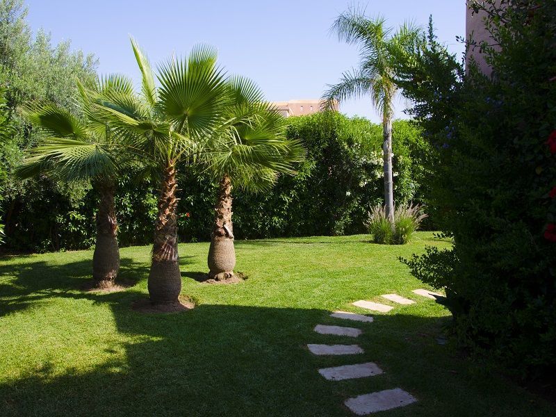 foto 1 Mietobjekt von Privatpersonen Marrakesch villa   Garten
