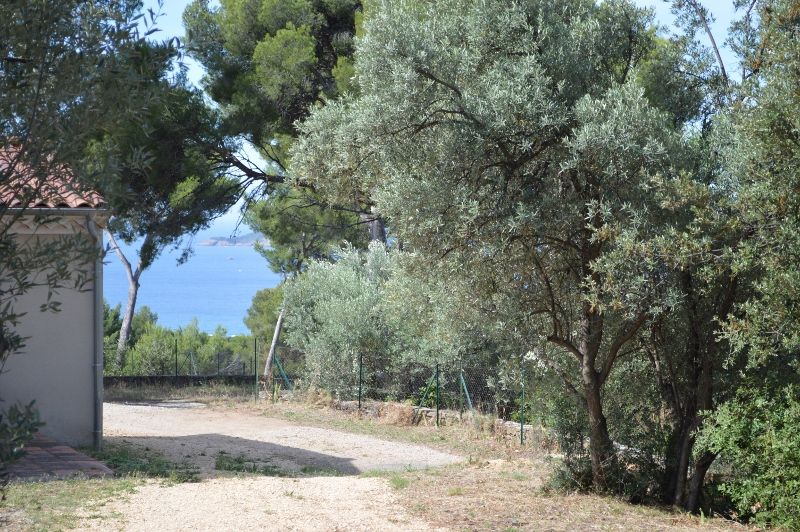 foto 18 Mietobjekt von Privatpersonen La Ciotat gite Provence-Alpes-Cte d'Azur Bouches du Rhne Ausblick aus der Ferienunterkunft