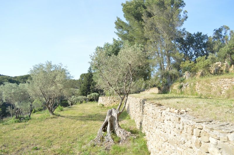 foto 25 Mietobjekt von Privatpersonen La Ciotat gite Provence-Alpes-Cte d'Azur Bouches du Rhne Garten