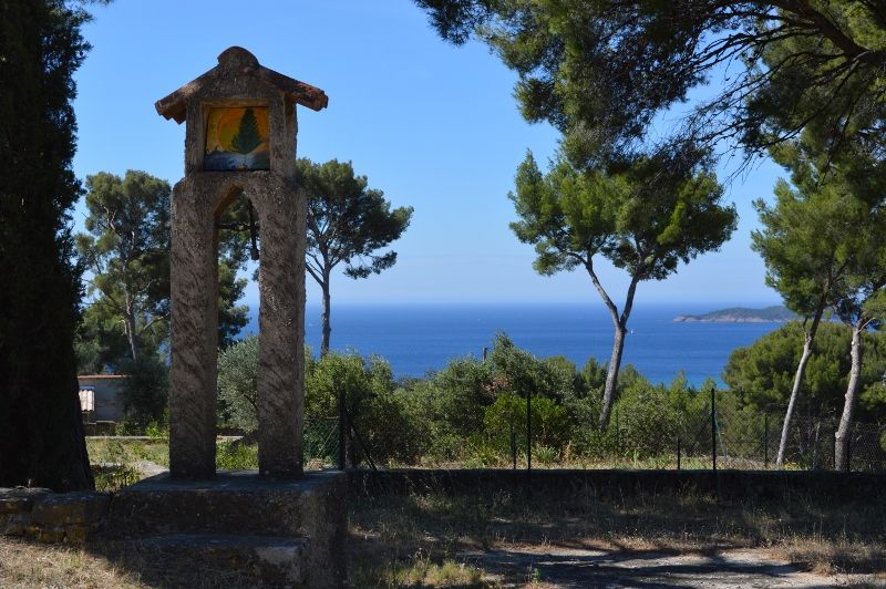 foto 21 Mietobjekt von Privatpersonen La Ciotat gite Provence-Alpes-Cte d'Azur Bouches du Rhne Garten