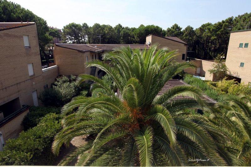 foto 1 Mietobjekt von Privatpersonen Principina a Mare appartement Toskana Grosseto (+Umland) Ausblick von der Terrasse
