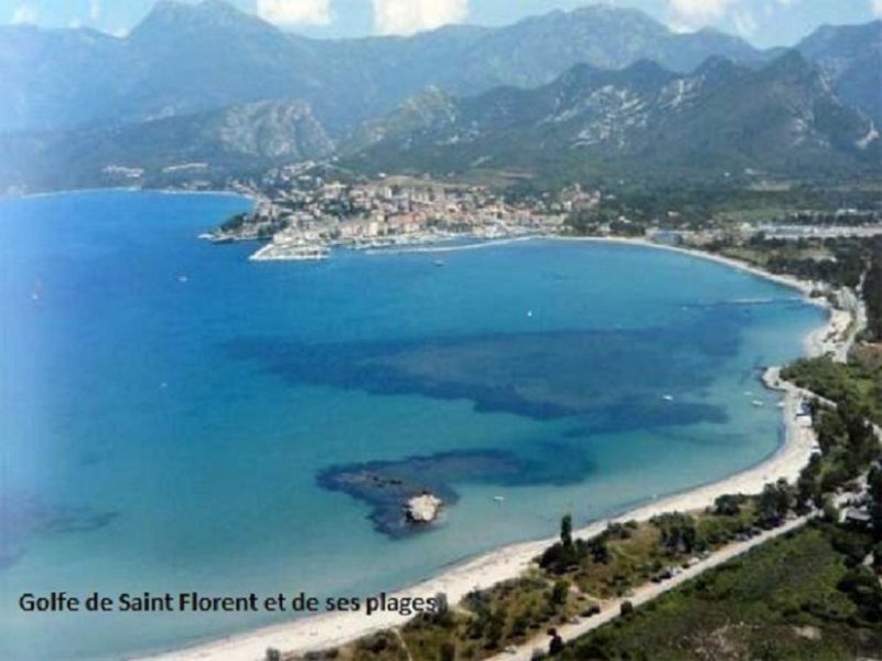 foto 0 Mietobjekt von Privatpersonen Saint Florent appartement Korsika Haute-Corse Strand