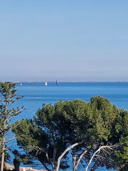 foto 20 Mietobjekt von Privatpersonen Alcanar appartement Katalonien Provinz Tarragona Ausblick von der Terrasse