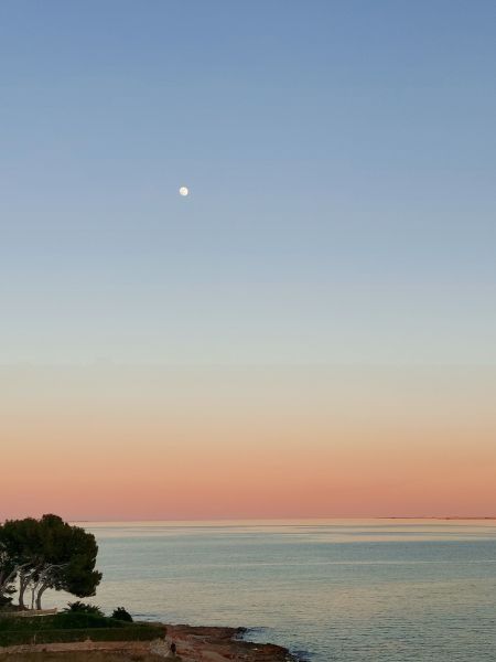 foto 28 Mietobjekt von Privatpersonen Alcanar appartement Katalonien Provinz Tarragona Ausblick aus der Ferienunterkunft