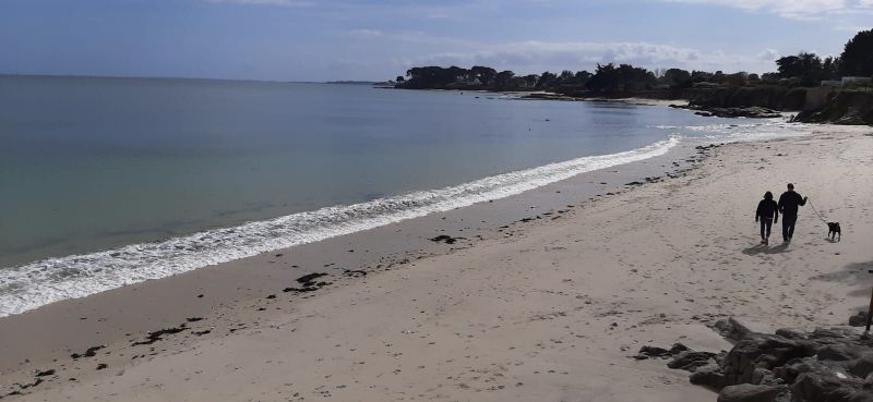 foto 1 Mietobjekt von Privatpersonen Saint Pierre Quiberon maison Bretagne Morbihan Strand