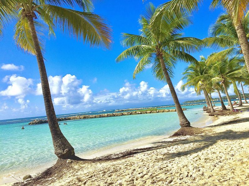 foto 0 Mietobjekt von Privatpersonen Sainte Anne (Guadeloupe) appartement Grande Terre  Strand