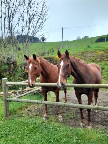 foto 9 Mietobjekt von Privatpersonen  gite Rhne-Alpes Loire