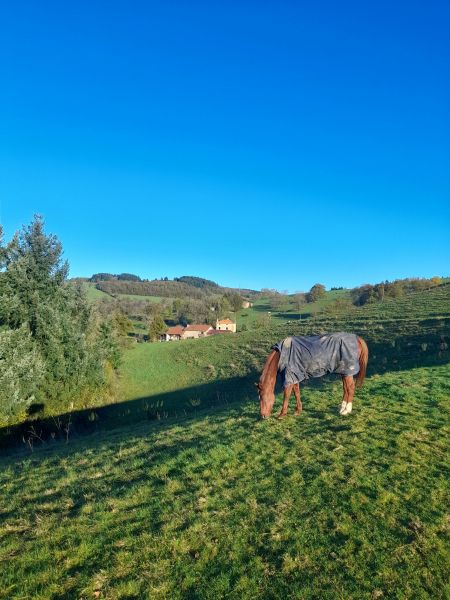 foto 12 Mietobjekt von Privatpersonen  gite Rhne-Alpes Loire