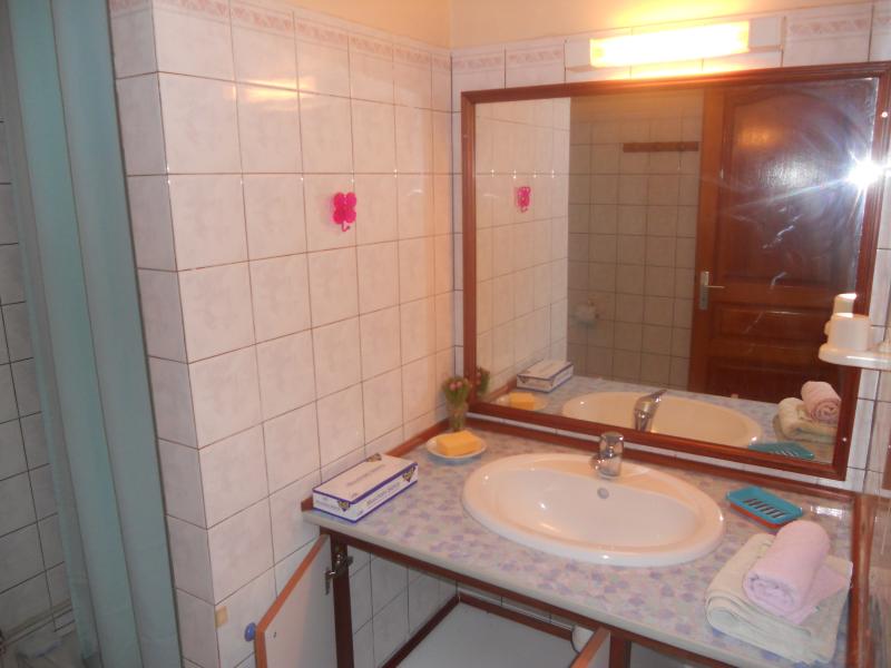 foto 10 Mietobjekt von Privatpersonen Sainte Anne (Martinique) appartement   Badezimmer