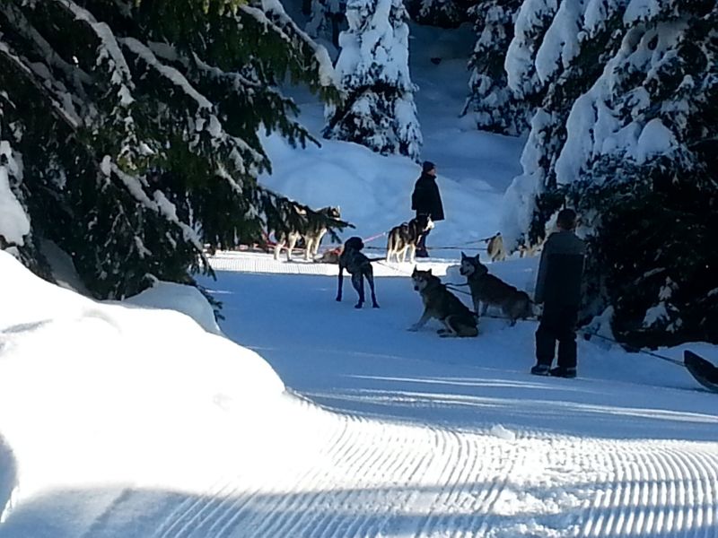 foto 20 Mietobjekt von Privatpersonen Samons studio Rhne-Alpes Haute-Savoie Nahaufnahme