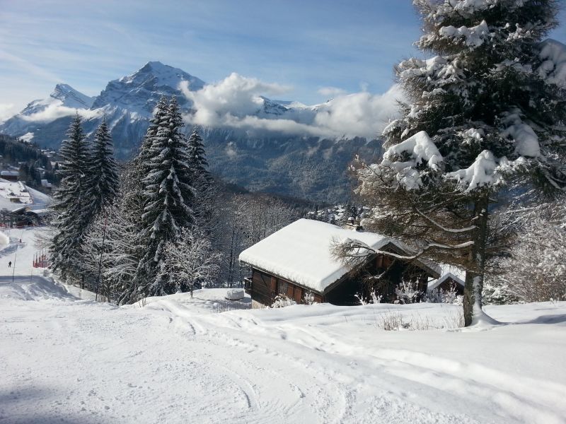 foto 23 Mietobjekt von Privatpersonen Samons studio Rhne-Alpes Haute-Savoie Nahaufnahme