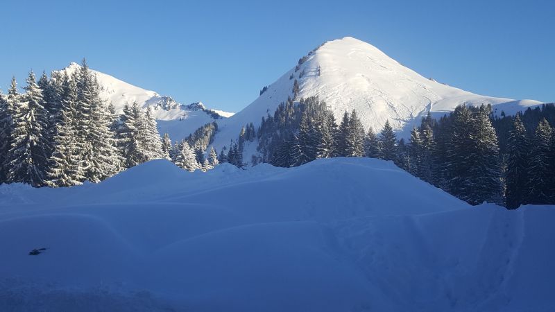 foto 16 Mietobjekt von Privatpersonen Praz de Lys Sommand appartement Rhne-Alpes Haute-Savoie Ausblick aus der Ferienunterkunft