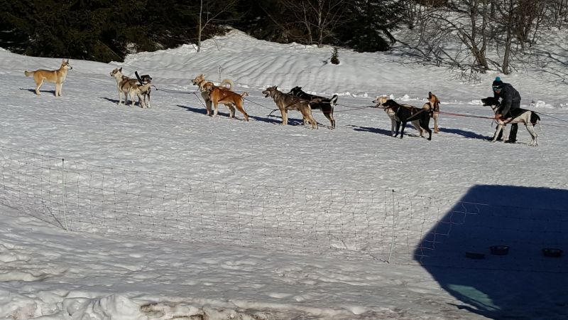 foto 19 Mietobjekt von Privatpersonen Praz de Lys Sommand appartement Rhne-Alpes Haute-Savoie andere