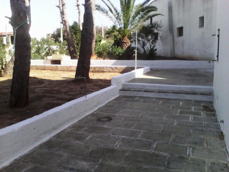 foto 16 Mietobjekt von Privatpersonen Pescoluse appartement Apulien Lecce (+Umland) Garten