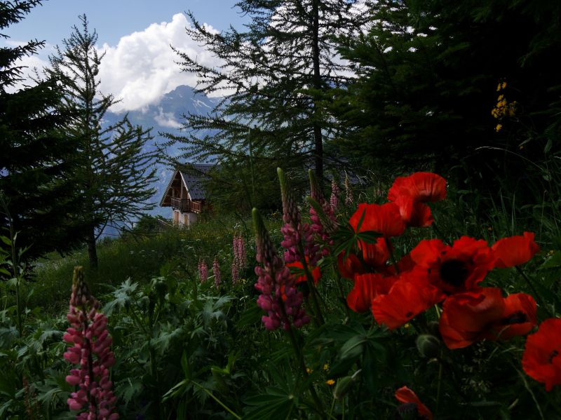 foto 15 Mietobjekt von Privatpersonen Alpe d'Huez appartement Rhne-Alpes  Nahaufnahme