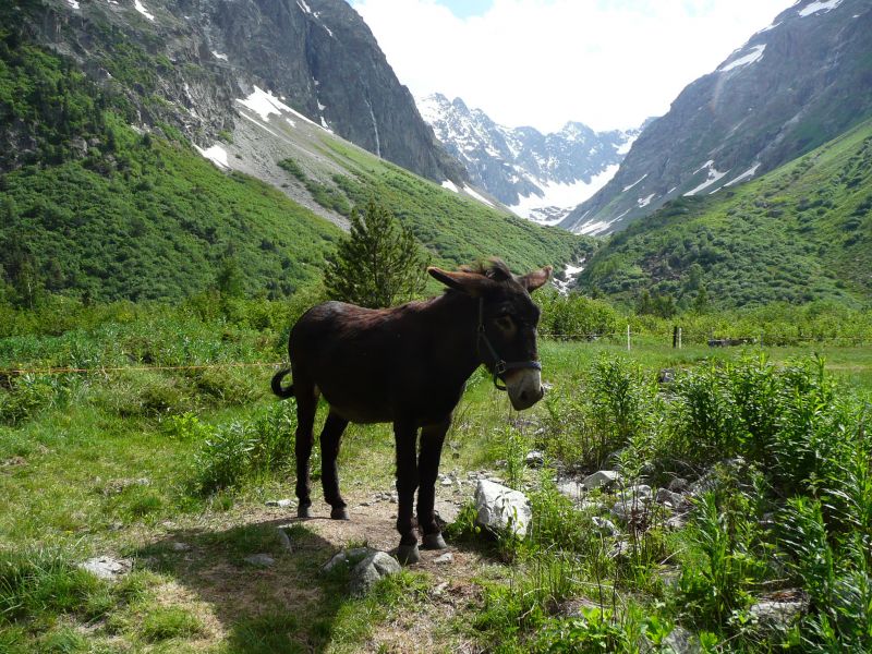 foto 16 Mietobjekt von Privatpersonen Alpe d'Huez appartement Rhne-Alpes  andere