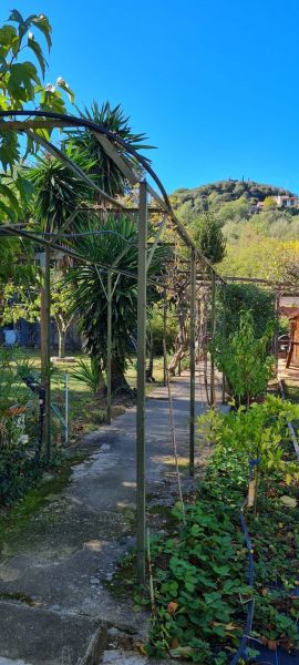 foto 11 Mietobjekt von Privatpersonen Ceret appartement Languedoc-Roussillon Pyrenen (Mittelmeer) Garten