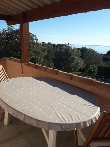 foto 7 Mietobjekt von Privatpersonen Porto Vecchio studio Korsika Corse du Sud Ausblick von der Terrasse