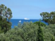 Ferienunterknfte mit blick aufs meer Corse Du Sud: studio Nr. 10917