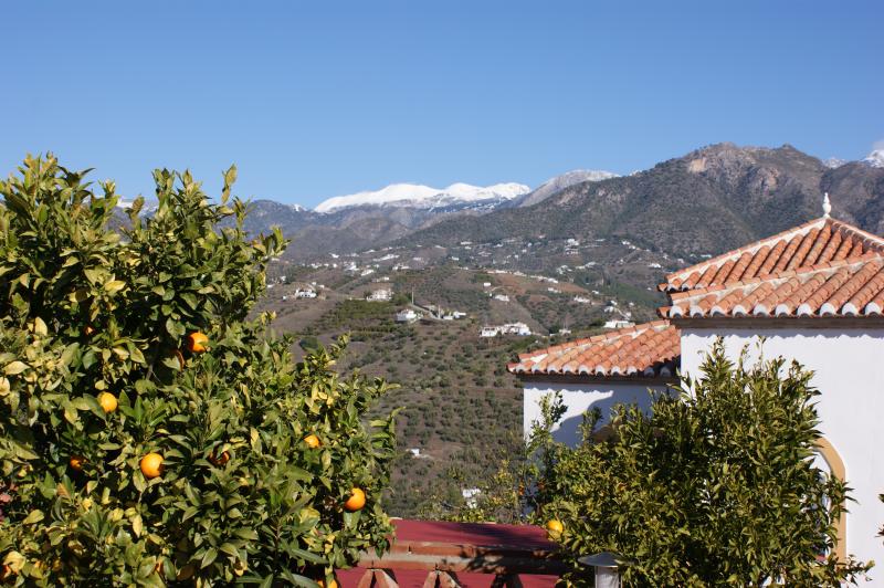 foto 22 Mietobjekt von Privatpersonen Nerja villa Andalusien Provinz Mlaga Garten