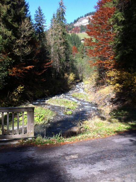 foto 27 Mietobjekt von Privatpersonen Le Grand Bornand appartement Rhne-Alpes Haute-Savoie Nahaufnahme