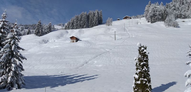 foto 27 Mietobjekt von Privatpersonen Le Grand Bornand appartement Rhne-Alpes Haute-Savoie Ausblick aus der Ferienunterkunft