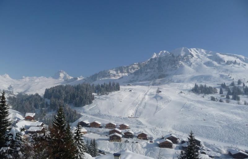 foto 6 Mietobjekt von Privatpersonen Le Grand Bornand chalet Rhne-Alpes Haute-Savoie Ausblick aus der Ferienunterkunft