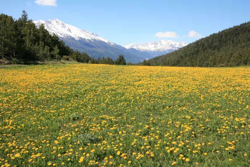 foto 18 Mietobjekt von Privatpersonen Val Cenis appartement Rhne-Alpes Savoyen Nahaufnahme