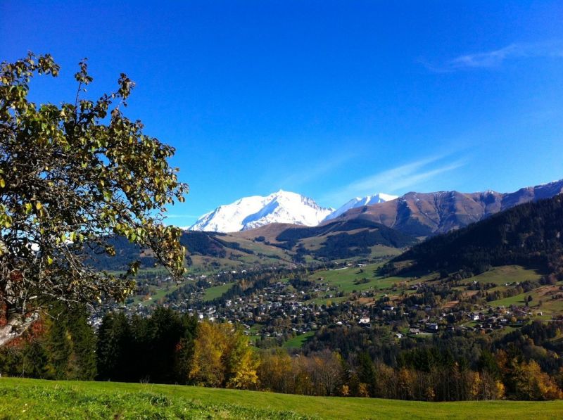 foto 13 Mietobjekt von Privatpersonen Megve chalet Rhne-Alpes Haute-Savoie Nahaufnahme