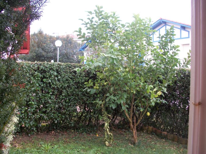 foto 10 Mietobjekt von Privatpersonen Hendaye appartement Aquitanien Pyrenen (Atlantik) Garten