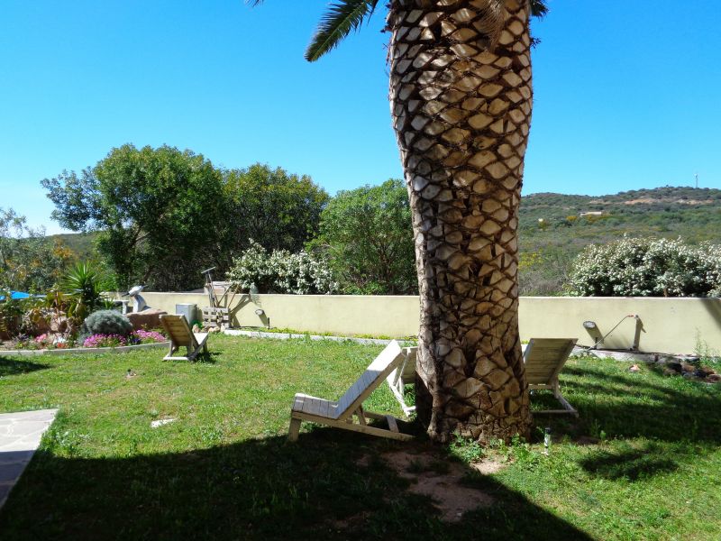 foto 13 Mietobjekt von Privatpersonen Golfo Aranci appartement Sardinien Olbia Tempio (+ Umland) Garten