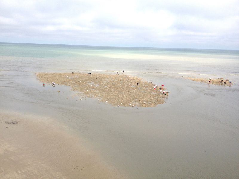 foto 20 Mietobjekt von Privatpersonen Le Trport maison Haute-Normandie Seine-Maritime Strand