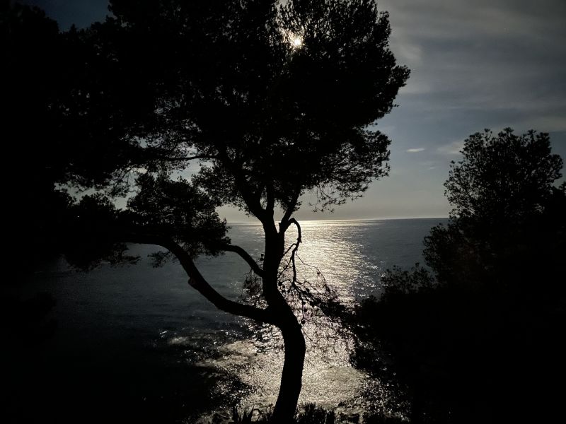 foto 21 Mietobjekt von Privatpersonen Saint Raphael appartement Provence-Alpes-Cte d'Azur Var Ausblick vom Balkon