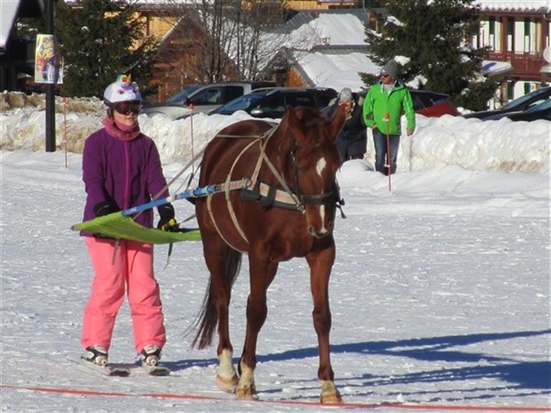 foto 16 Mietobjekt von Privatpersonen Pralognan la Vanoise appartement Rhne-Alpes Savoyen Ansicht des Objektes