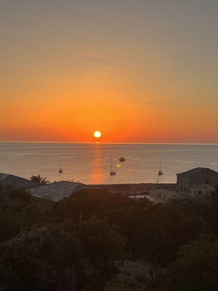 foto 20 Mietobjekt von Privatpersonen Centuri appartement Korsika Haute-Corse Ausblick von der Terrasse