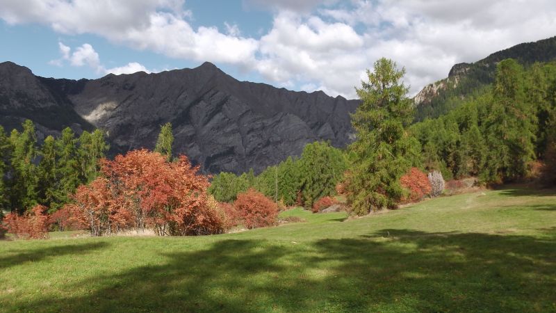 foto 24 Mietobjekt von Privatpersonen Les Orres studio Provence-Alpes-Cte d'Azur Hautes-Alpes andere