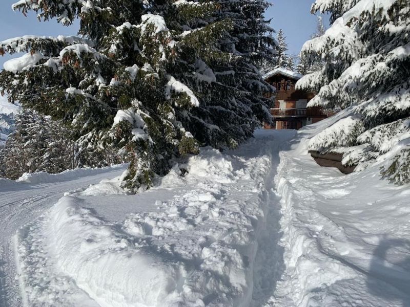 foto 1 Mietobjekt von Privatpersonen Les Arcs chalet Rhne-Alpes Savoyen Ansicht des Objektes