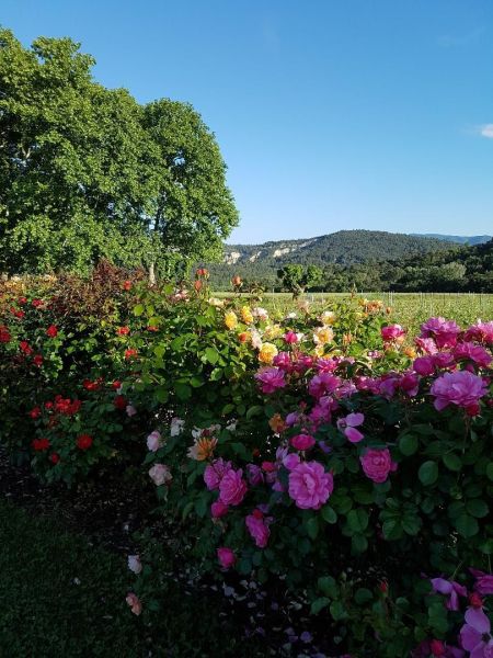 foto 7 Mietobjekt von Privatpersonen Apt maison Provence-Alpes-Cte d'Azur Vaucluse Ausblick aus der Ferienunterkunft