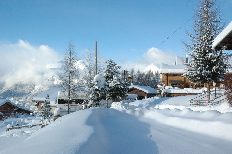 foto 14 Mietobjekt von Privatpersonen La Plagne chalet Rhne-Alpes Savoyen Nahaufnahme