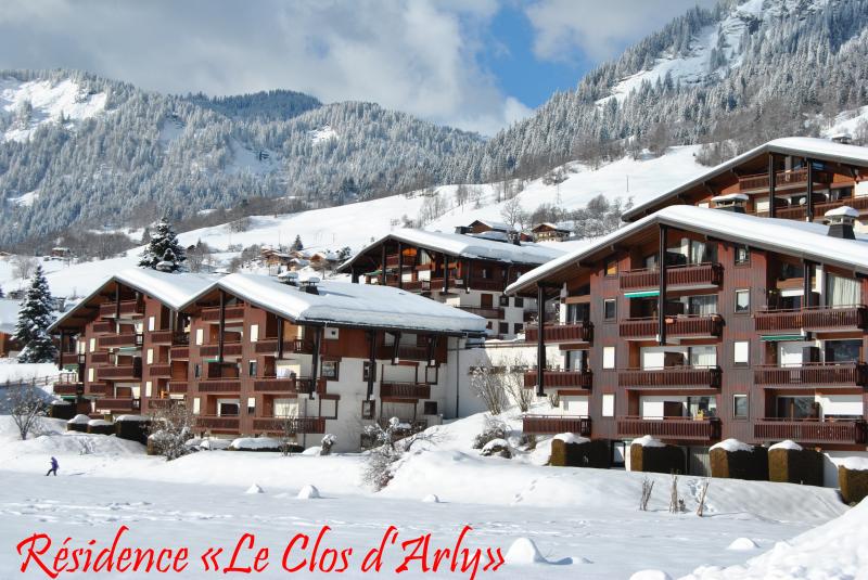 foto 3 Mietobjekt von Privatpersonen Praz sur Arly studio Rhne-Alpes Haute-Savoie Ansicht des Objektes