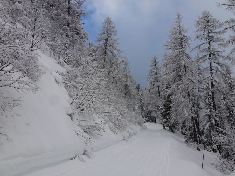 foto 13 Mietobjekt von Privatpersonen Les Arcs appartement Rhne-Alpes Savoyen andere