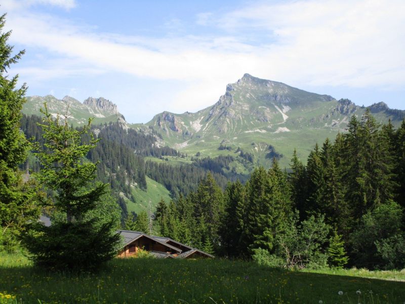 foto 9 Mietobjekt von Privatpersonen Praz de Lys Sommand studio Rhne-Alpes Haute-Savoie