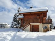 Ferienunterknfte skigebiete Mont-Blanc Massiv: appartement Nr. 2381