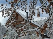 Ferienunterknfte ferien in den bergen: chalet Nr. 2501