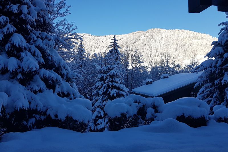 foto 0 Mietobjekt von Privatpersonen Megve appartement Rhne-Alpes Haute-Savoie